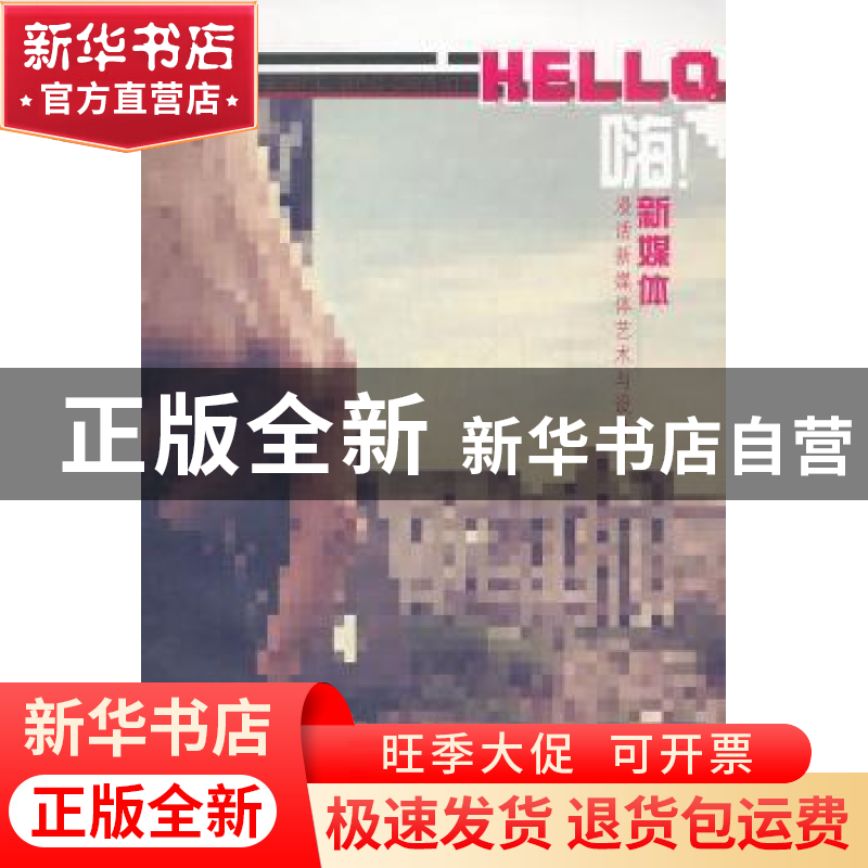 正版 嗨!新媒体:漫话新媒体艺术与设计 杨艺著 大连理工大学出版高清大图