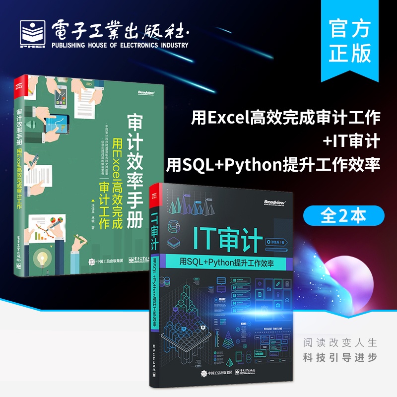 [正版]全2本审计效率手册:用Excel高效完成审计工作+IT审计 用SQL+Python提升工作效率 SQL基础实战数高清大图