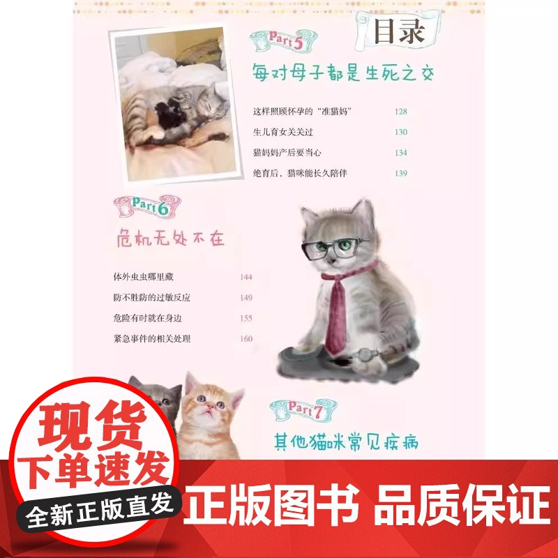 宠物猫常见问题家庭处置及护理 我的宠物书 猫咪养护入门 养猫指南 猫奴进阶 猫咪健康护理 猫咪行为心理分析 专业的养猫参高清大图