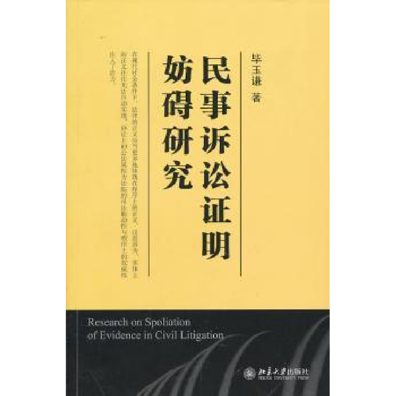 音像民事诉讼明妨碍研究玉谦著