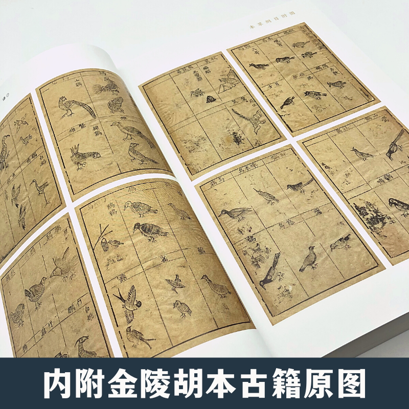 [醉染正版]本草纲目白话精译 李时珍白话文精译 传统中医典籍中药巨著中医养生药材集锦中草药图谱大全 药方处方 书籍高清大图
