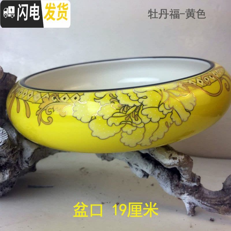 三维工匠水仙花盆细腻无孔水培水仙盆景德镇陶瓷盆碗莲植物多肉盆盆口