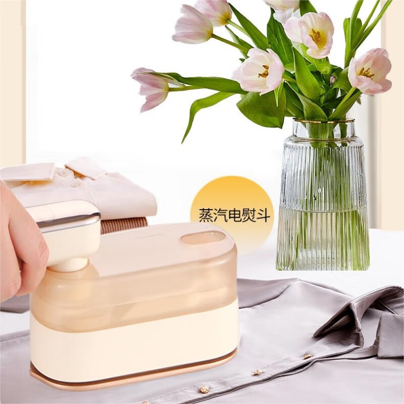 荣事达小型蒸汽电熨斗 RS-YD1007高清大图