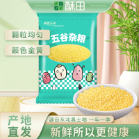 东北黄小米 小米粥新米 500g*2 五谷杂粮东北粗粮农家小黄米月子米养胃小米粥新米