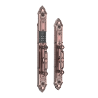 亚太天能(TENON)微信智能指纹锁家用指纹密码锁电子门锁 F8 深红古铜