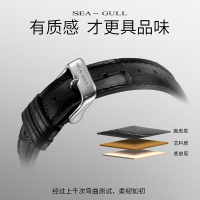 海鸥表(SEAGULL) 机械表 男 时尚男士皮带商务国民自动机械表黑白盘罗马字 819.613