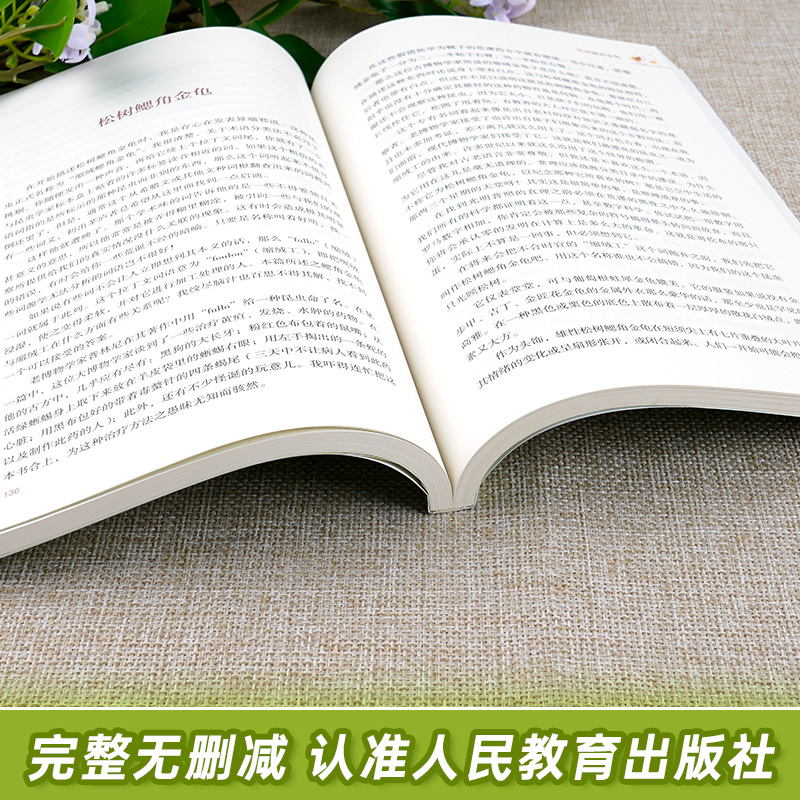 [八年级上必读]昆虫记-赠考点 [正版]昆虫记法布尔原著完整版初中生八年级上册课外书必读名著人教版中学生初二八上语文老师高清大图