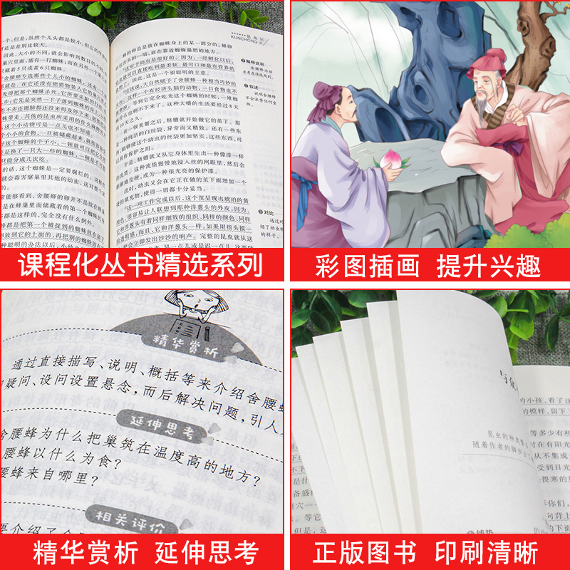 [4册]五年级上册必读正版 送考点 [正版]全套4册 中国民间故事五年级上册阅读课外书必读的经典书目欧洲非洲籍田螺姑娘精高清大图