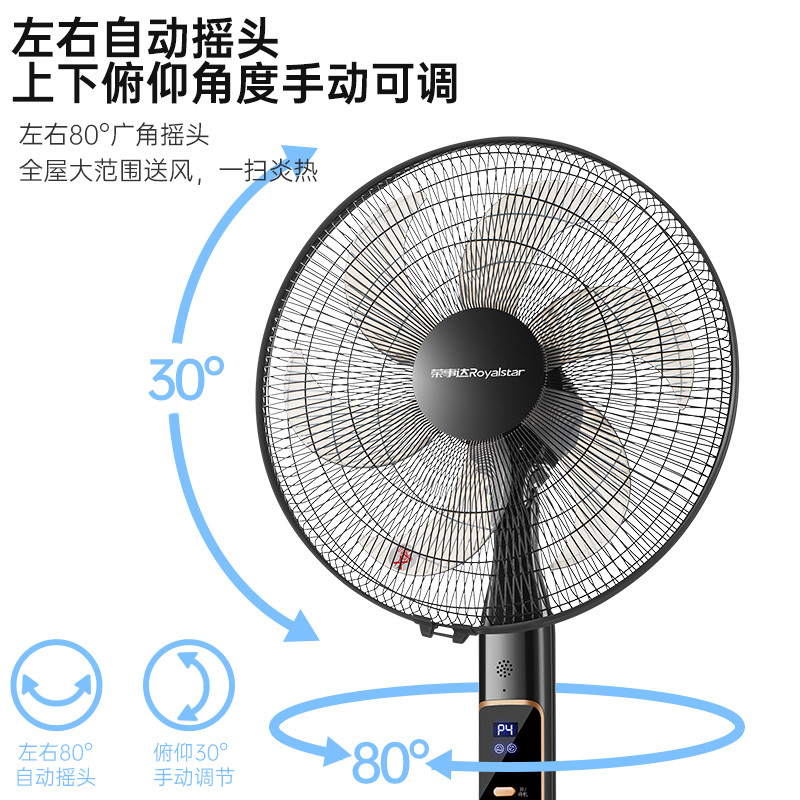 荣事达落地扇家用电风扇遥控定时摇头16寸大风力电扇FS40-A16(H)黑色高清大图
