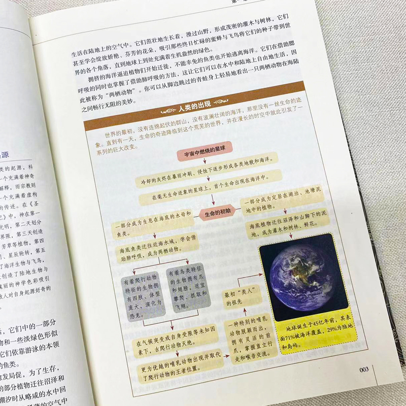 [正版]精装白金版 图解人类的故事 彩图全解全球世界通史人类故事社科读物 中国国家人文通史历史类书籍史学 研究初高中课