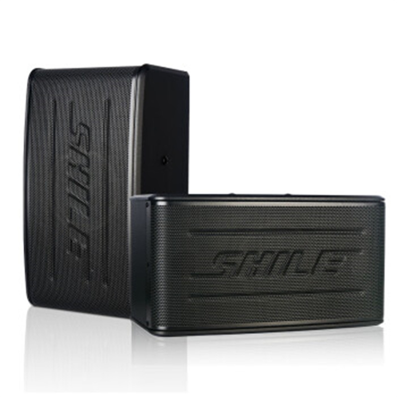 狮乐(shile) bx-116 家庭ktv音响卡包卡拉ok家用k歌音响电视会议培训