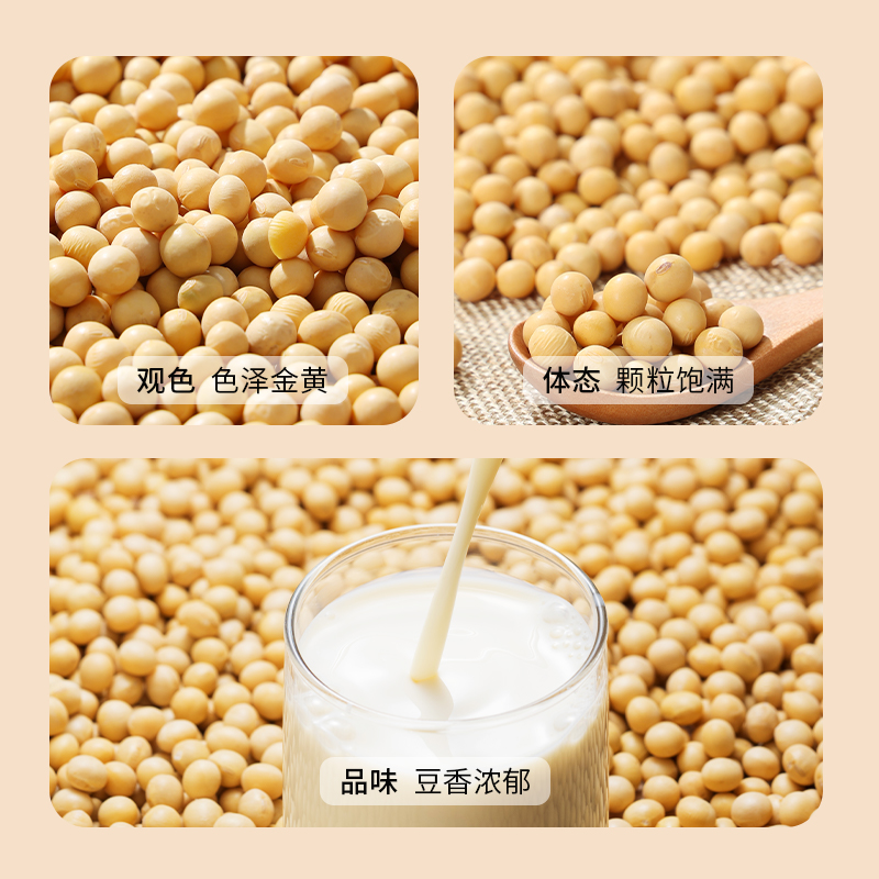 有机黑龙43黄豆(罐装,800g)高清大图