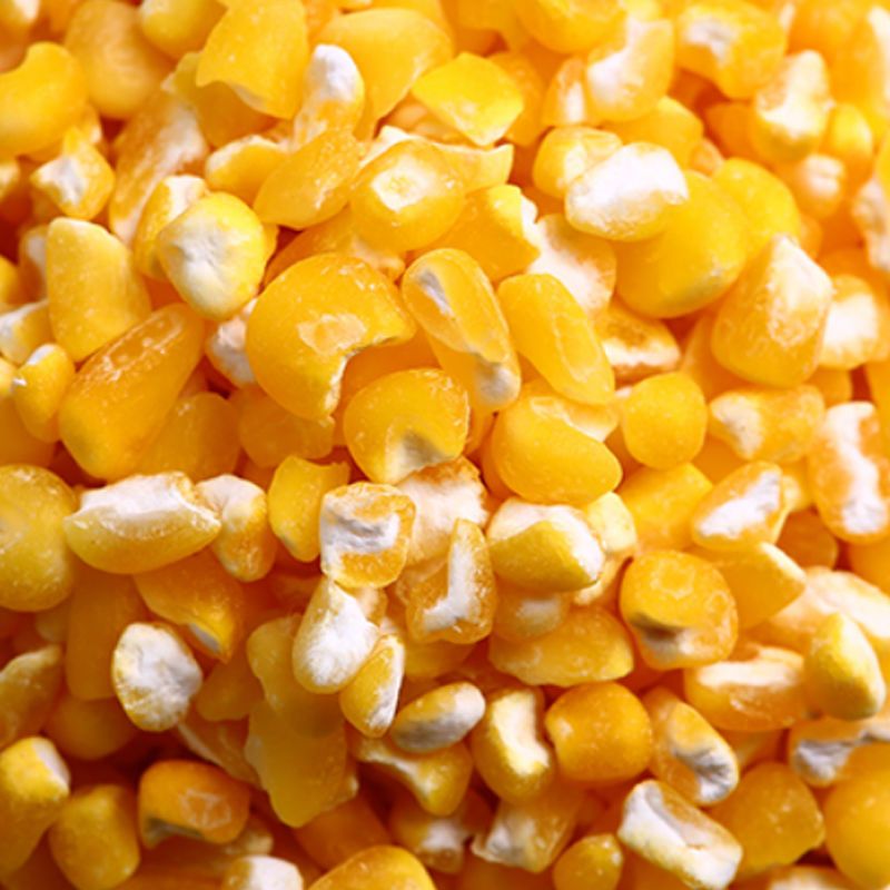 东北黑龙江农家自产笨大碴子新碴玉米渣大碴粥玉米碎玉米碴东北笨大碴