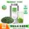 茶马世家特级初春恩施玉露铁罐100g 恩施玉露新茶绿茶明前特级头采蒸青硒富茶龙井43号树种罐装