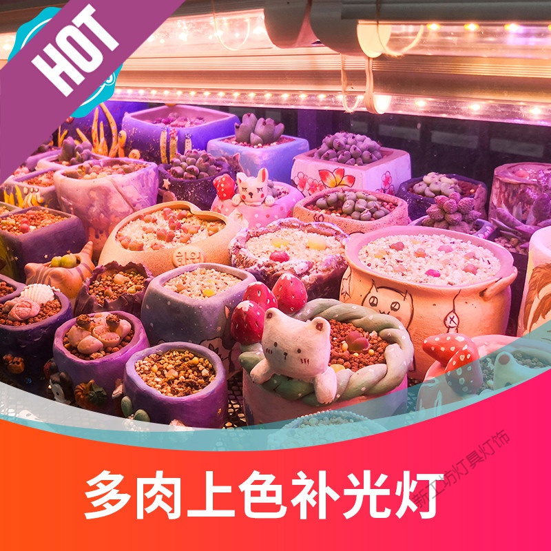 苏宁放心购 多肉补光灯家用上色全光谱led仿太阳日照花卉层架绿植物生长灯高清大图