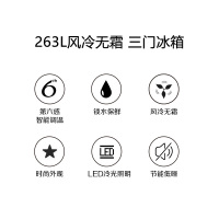 惠而浦(Whirlpool)BCD-263WTGBW 三门冰箱 风冷无霜