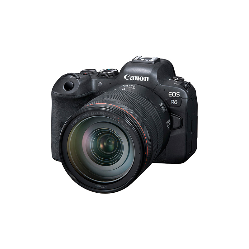 佳能(Canon)EOS R6 微单套机 全画幅微单相机 4K视频拍摄 实现8级双防抖(机身X镜头)(RF 24-105mm F4 L IS USM)高清大图