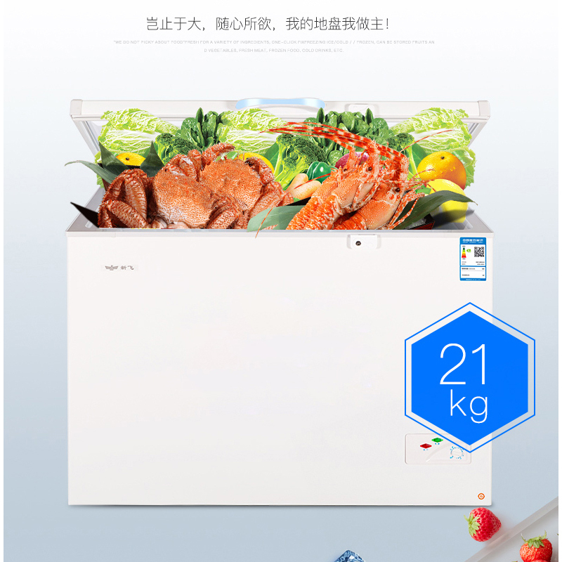 新飞(FRESTEC) BC/BD-323HD1A 323升家商两用冷柜冷藏冷冻双温大容积节能冰柜