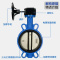 伟鹏双兴 涡轮铸铁对夹式蝶阀 DN300乙丙/304阀板 台