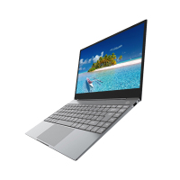 神舟(Hasee)优雅X4D1 (4205U 8G 256G 集显 IPS 白色背光 )定制版 14英寸轻薄便携本商务办公本学生本超长续航本游戏本笔记本电脑