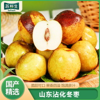 [苏鲜生]山东沾化冬枣 5斤 红枣子精选 当季新鲜水果 西沛国产特产