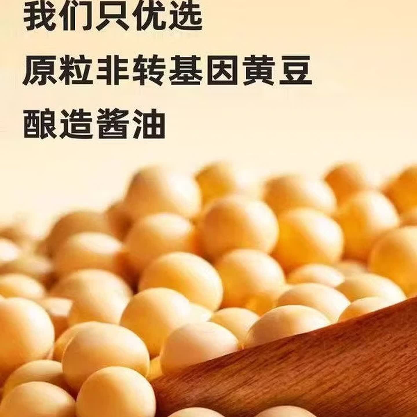 海天醇鲜味极鲜酱油4.9L商用调料味5炒菜点蘸凉拌大桶装整箱餐饮 4.9L高清大图