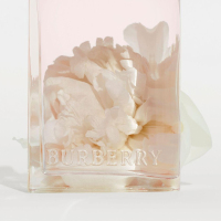 法国正品直邮Burberry巴宝莉 新款 花与她 淡香水 EDT100ml