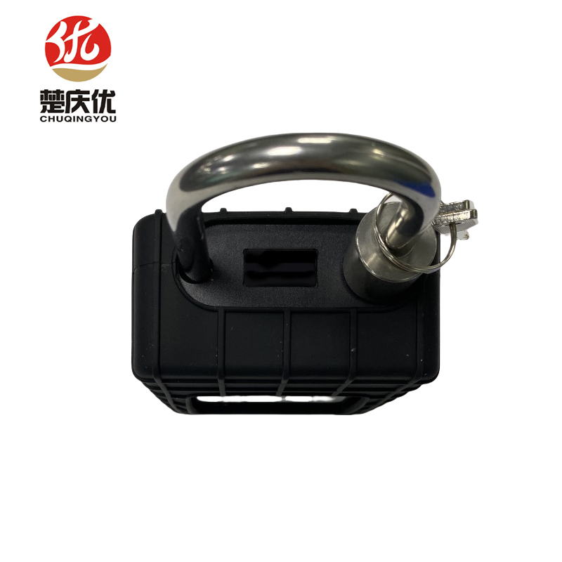 楚庆优 智能锁(带安装 ) CQY-4G01 把高清大图