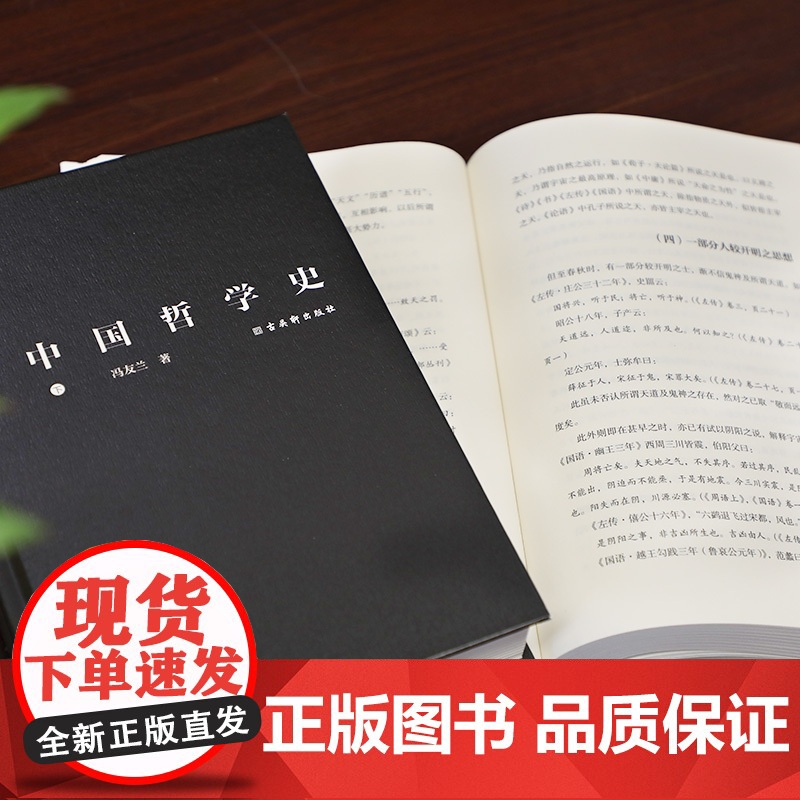 中国哲学史上下2册典藏版 冯友兰 著 国哲学简史 中国哲学经典读本 哲学阅读课外书籍 哲学入门 哲学史高清大图