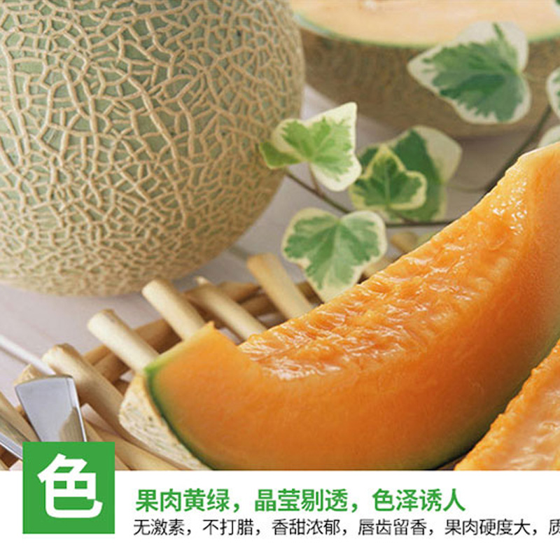 卜任舒 哈密瓜约4.5kg(包装随机发货)高清大图
