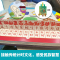 [大开本]我的第一本时间启蒙立体翻翻书 [正版]我的第一本时间启蒙立体翻翻书3D认识时间和时钟绘本儿童时间启蒙管理绘本男