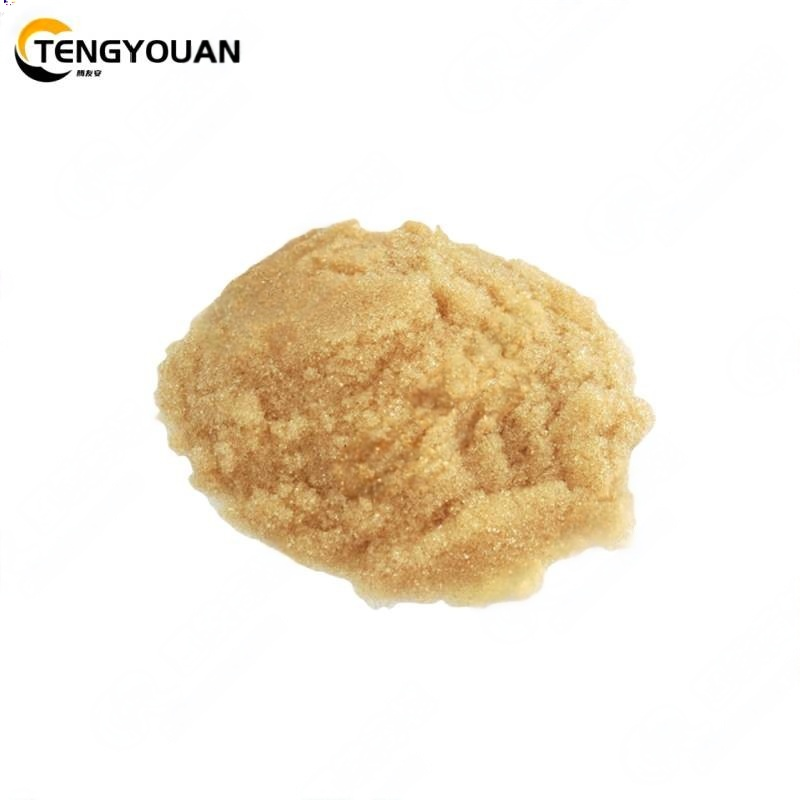 腾友安 阳离子交换树脂 25L/袋