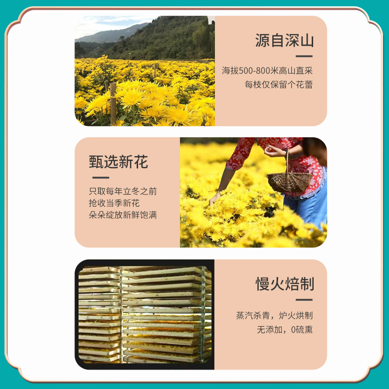 茯济堂花中皇后金丝皇菊5g 一杯一朵胎菊花茶泡水高清大图