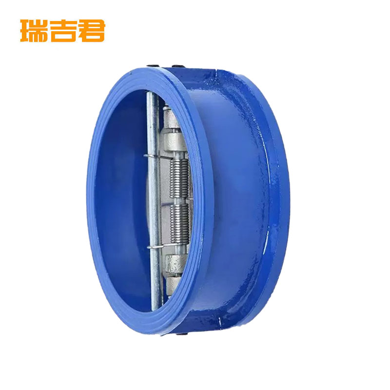 瑞吉君 对夹式止回阀 DN100 个高清大图