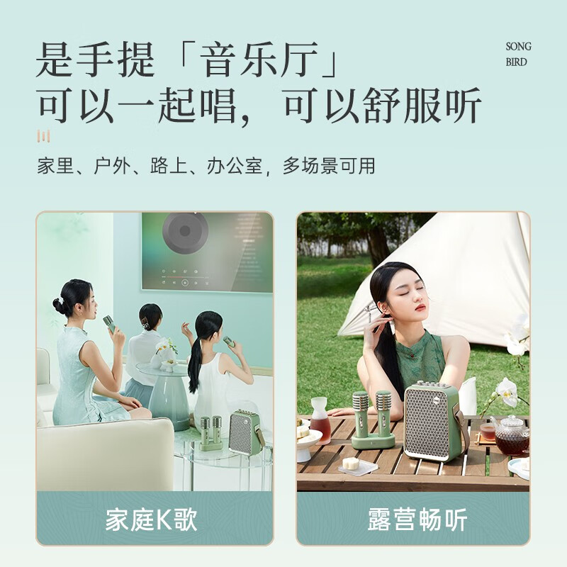 Divoom点音 家庭ktv音响套装手提便携户外k歌蓝牙小音箱迷你家用带无线双麦克风话筒东方青鸾 双麦K歌音箱(破晓)
