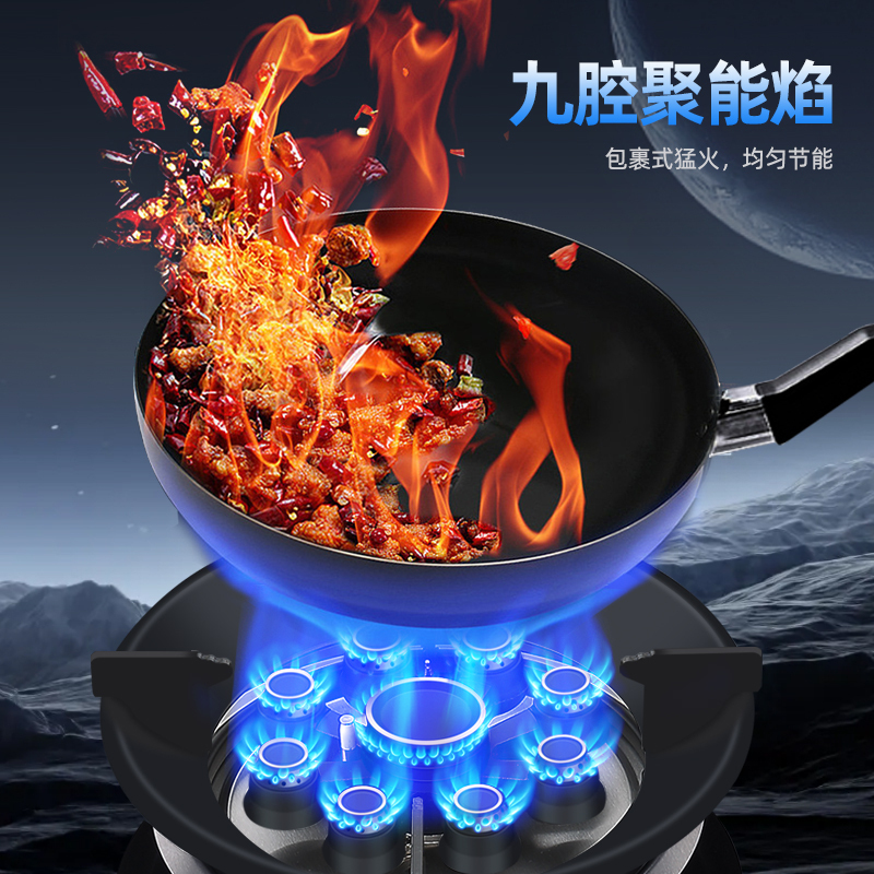 志高(CHIGO)F218双灶眼燃气灶(液化气)4.8KW九腔猛火左右独立定时 台式嵌入式两用