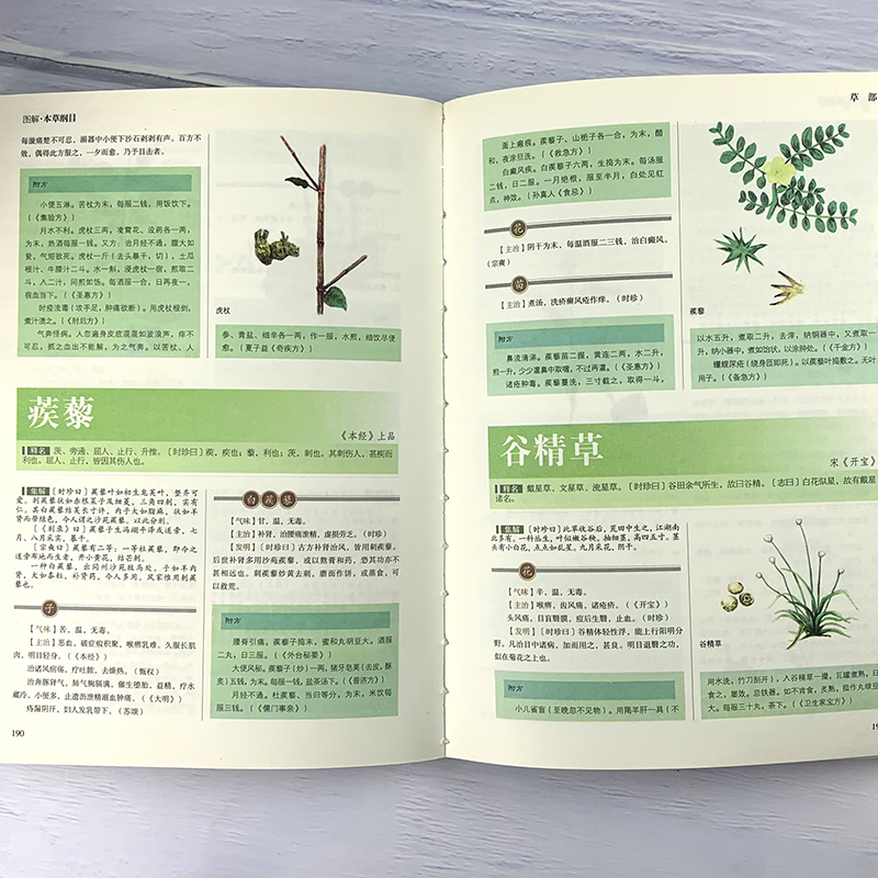 [醉染正版]正版本草纲目原版全套李时珍 原著白话文版中医养生书籍中草药材图解大全彩图版全注全译中医基础理论本草纲书籍全书高清大图