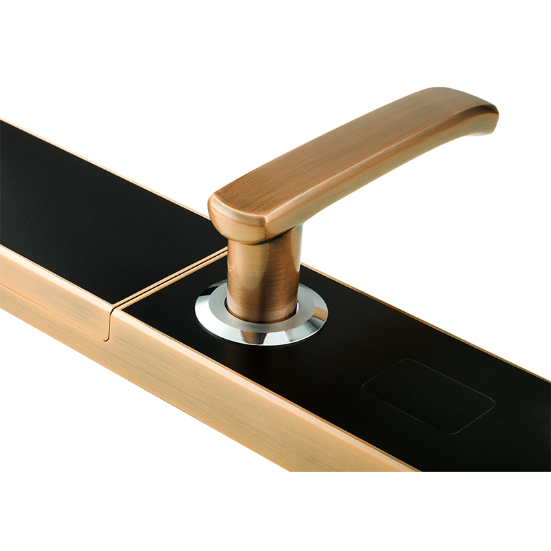 亚太天能(TENON)智能指纹锁 锌合金家用指纹密码锁电子门锁 V5s 红古铜(标准版)