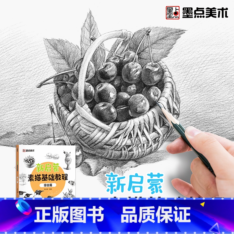 【1册】新启蒙素描基础教程·综合篇 【正版】墨点美术新启蒙素描基础教程综合篇零基础学生小白绘画入门教程书籍带视频教学单体