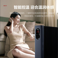 格力(GREE)电油汀取暖家电暖气片加宽13片油汀电热油汀加热石墨烯取暖器家用电暖器 NY23-X6022B