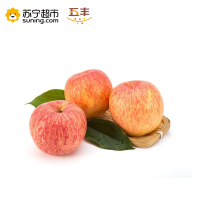 山东红富士