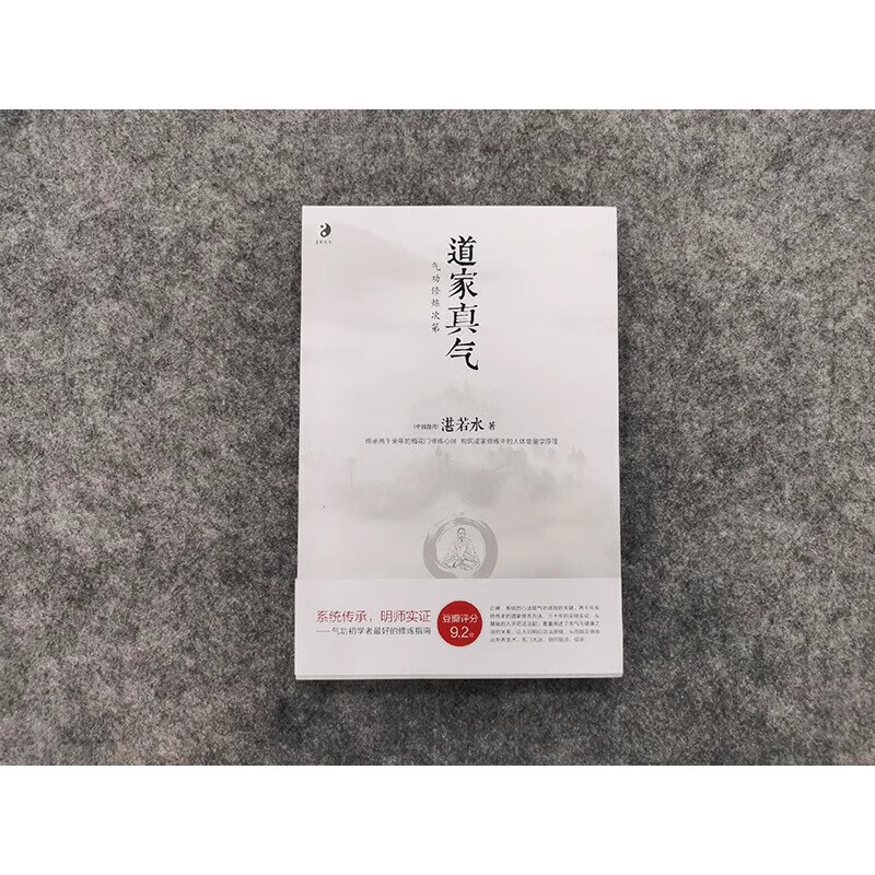 [正版]道家真气(气功修炼次第)(中国台湾)湛若水著 传承两千余年的梅花门修炼心得 气功初学者修炼入门指南 海南出版社高清大图