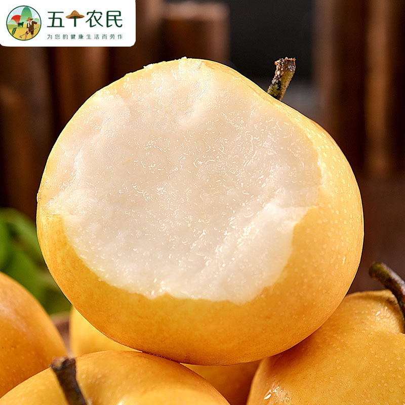 [五个农民]正宗山东秋月梨一级大果4-6枚装精品5斤装送礼佳品