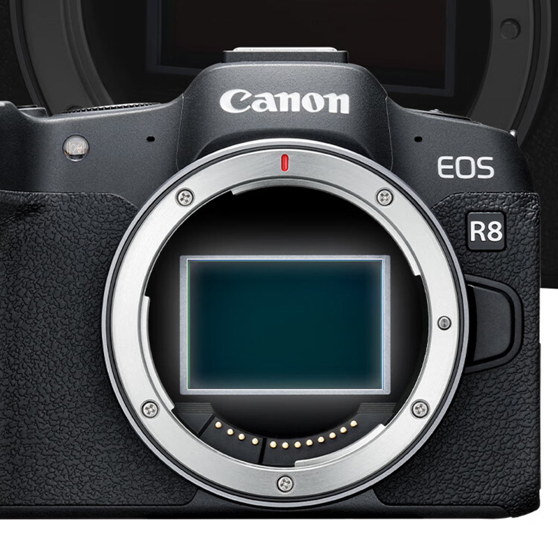 佳能EOS R8 全画幅微单数码相机 RF24-50镜头套装(含256G SD卡+包)高清大图
