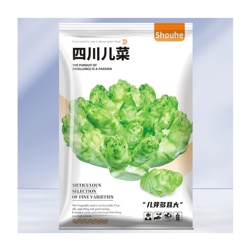 儿菜种子 10g/袋