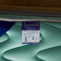 北极绒家纺床垫乳胶软垫加厚单人宿舍褥子家用垫子记忆棉榻榻米海绵垫学生