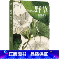 【正版】野草 野性之美 加雷思·理查兹著 英国皇家园艺学会编 天际线丛书 50种未被驯服的美丽植物，130余张精美博物