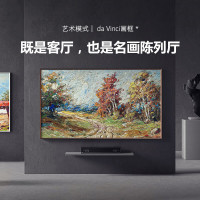 创维壁纸电视75Q53 Pro 75英寸无缝贴墙独立主机百变艺术屏哈曼声学音响4K高清艺术壁画智能液晶电视