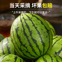 顺丰快递[西沛生鲜]现摘2k小糖丸西瓜 净重6.5-7斤 2个装 新鲜网红脆甜蜜瓜整个