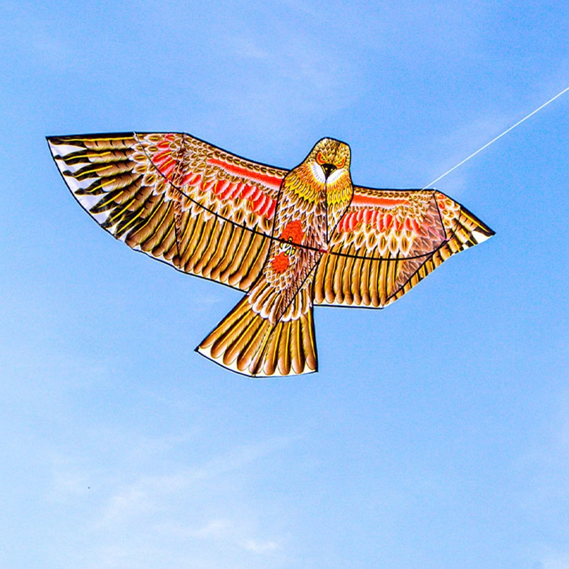 路飞老鹰风筝大人专用网红儿童微风易飞成人超大型2024新款式